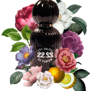 Les Folies Du Parfum 22.22